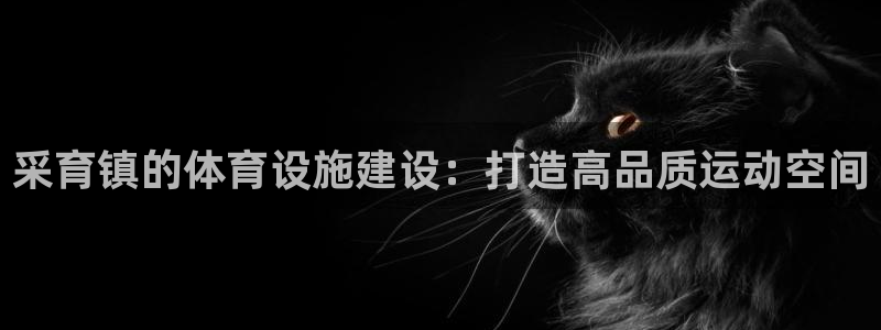 意昂5(KGAME)体育招商：采育镇的体育设施建设：
