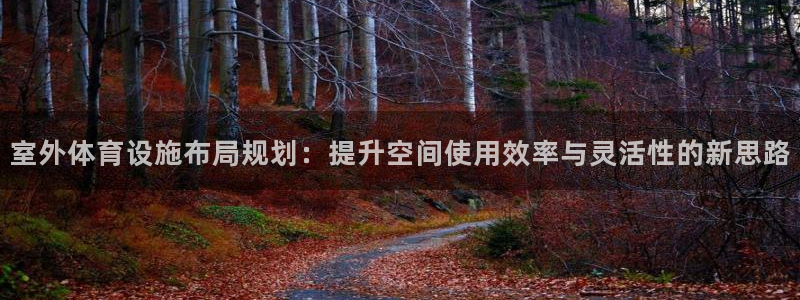 意昂平台体育：室外体育设施布局规划：提升空间使用效率