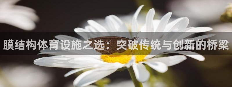 意昂5(KGAME)体育注册：膜结构体育设施之选：突破传统与 
