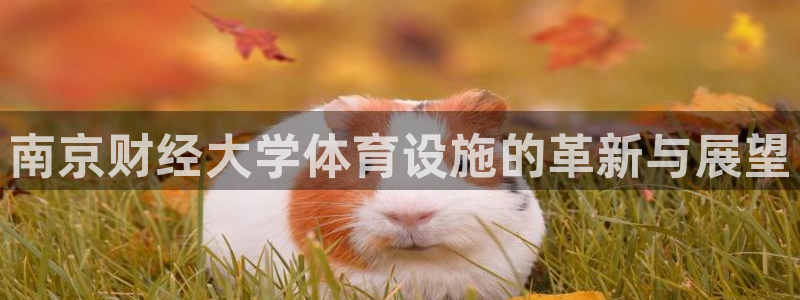 意昂5(KGAME)体育平台：南京财经大学体育设施的革新与展