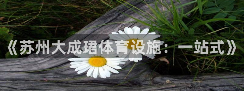 意昂5(KGAME)五金厂：《苏州大成珺体育设施：一站式》