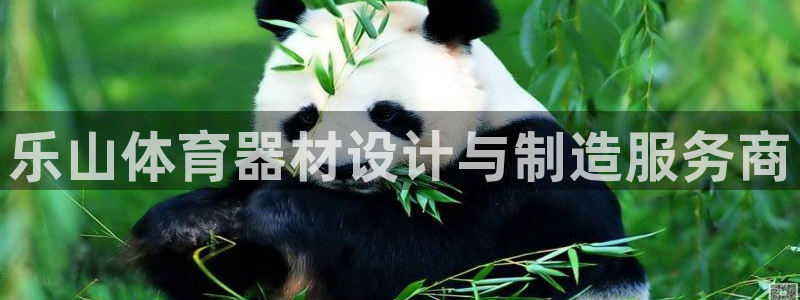 意昂5(KGAME)体育招商电话是多少：乐山体育器材