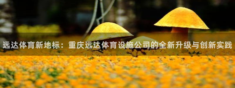 意昂5(KGAME)娱乐下载：远达体育新地标：重庆远