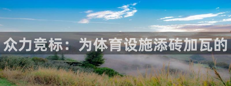 意昂5(KGAME)体育开户：众力竞标：为体育设施添