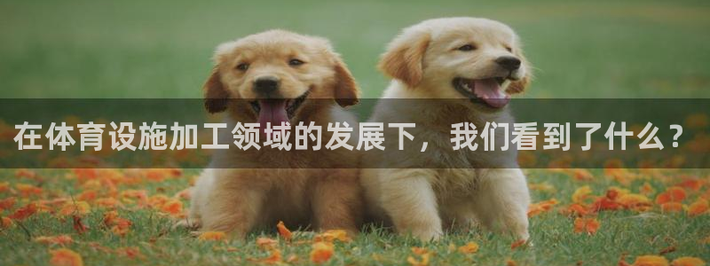 意昂5(KGAME)体育平台注册要钱吗安全吗：在体育