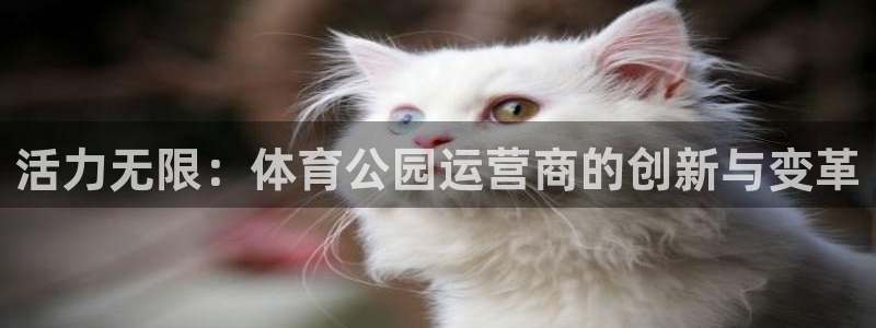 球速体育：活力无限：体育公园运营商的创新与变革