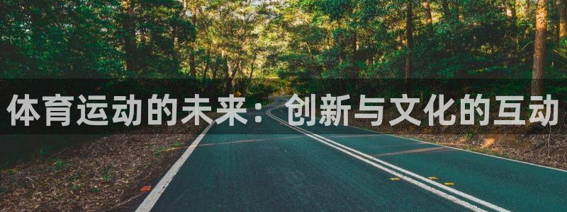 球速体育：体育运动的未来：创新与文化的互动