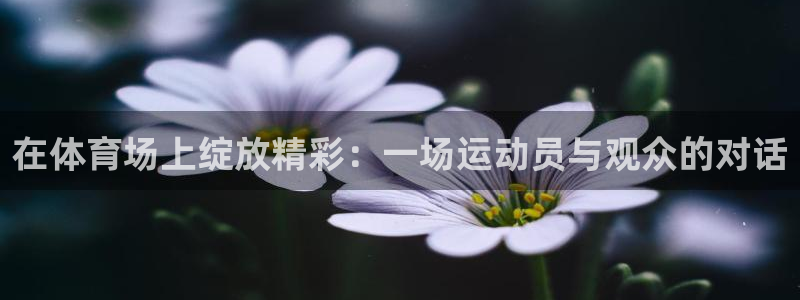 球速体育：在体育场上绽放精彩：一场运动员与观众的对话