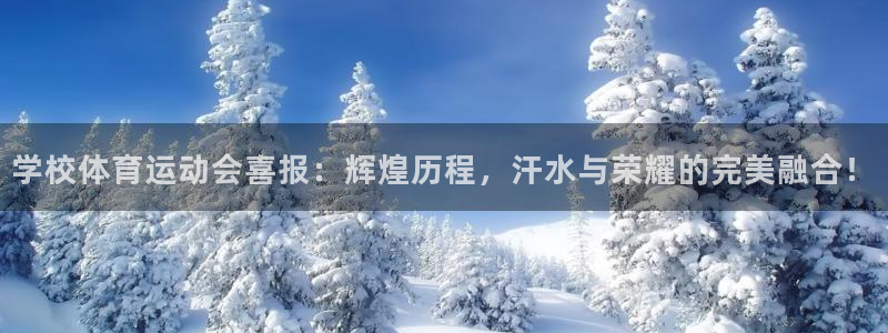 球速体育：学校体育运动会喜报：辉煌历程，汗水与荣耀的完美融合！