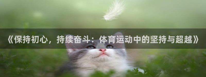 球速体育：《保持初心，持续奋斗：体育运动中的坚持与超越》
