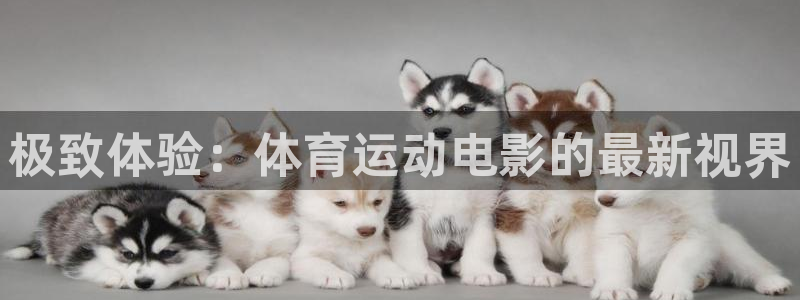 球速体育：极致体验：体育运动电影的最新视界