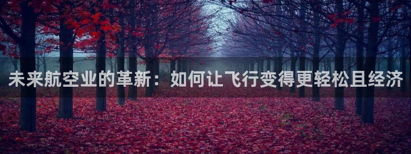球速体育：未来航空业的革新：如何让飞行变得更轻松且经济