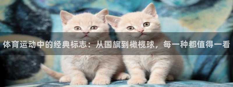 球速体育：体育运动中的经典标志：从国旗到橄榄球，每一种都值得一看