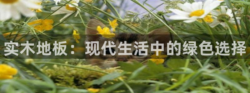 球速体育：实木地板：现代生活中的绿色选择