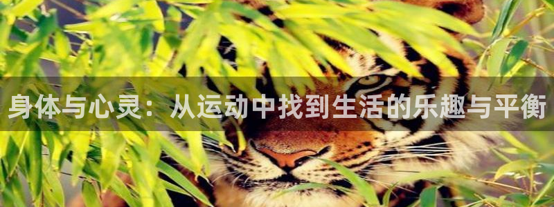 球速体育：身体与心灵：从运动中找到生活的乐趣与平衡
