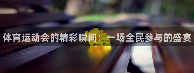 球速体育：体育运动会的精彩瞬间：一场全民参与的盛宴