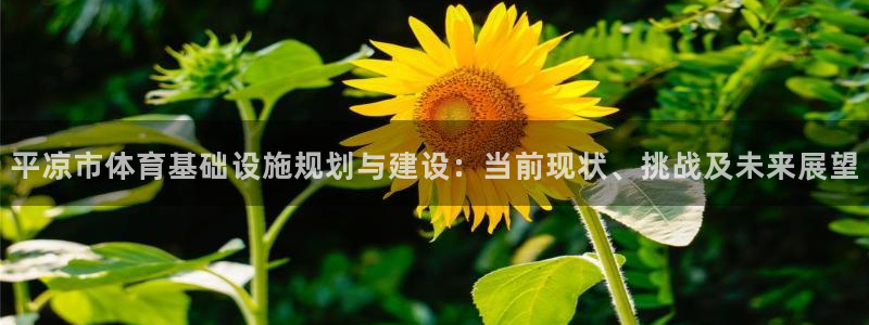 意昂5(KGAME)体育招商电话是多少啊：平凉市体育基础设施