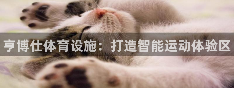 意昂5(KGAME)新能源：亨博仕体育设施：打造智能运动体验