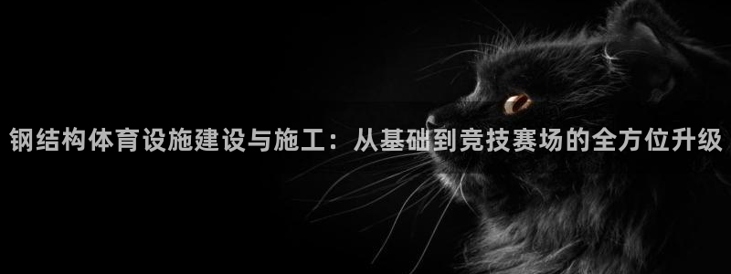 意昂5(KGAME)体育：钢结构体育设施建设与施工：从基础到