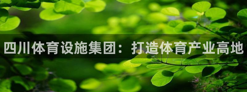 意昂5(KGAME)娱乐下载：四川体育设施集团：打造体育产业 