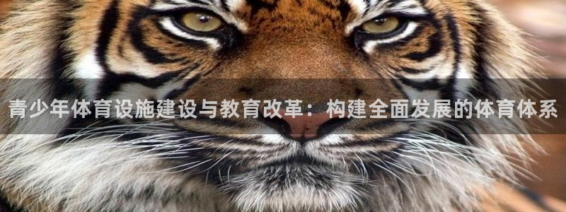 意昂5(KGAME)体育招商电话：青少年体育设施建设与教育改